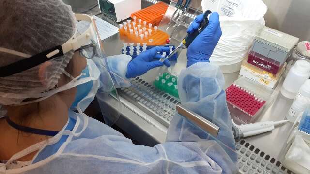 Parceria entre UFMS e Estado amplia diagn&oacute;stico de doen&ccedil;as negligenciadas em MS