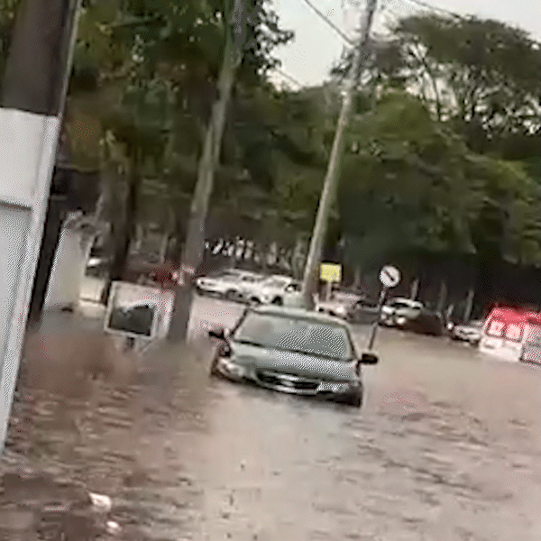 Seu bairro costuma alagar quando chove forte? Participe da enquete