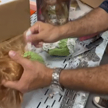 Bonecas com rem&eacute;dio emagrecedor &eacute; flagrante de esquema paralelo milion&aacute;rio