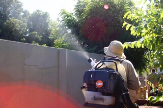 Surto de dengue em Jardim preocupa moradores que exigem o uso de fumac&ecirc;