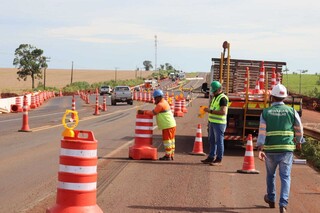 Carreta com 40 bois tomba em trecho de obra na BR-163 e mata 10 animais