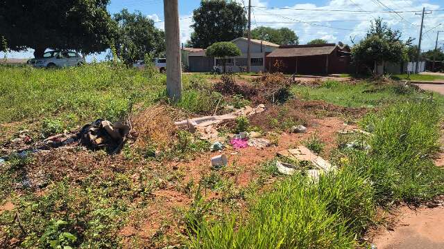 Surto de dengue em Jardim preocupa moradores que exigem o uso de fumac&ecirc;
