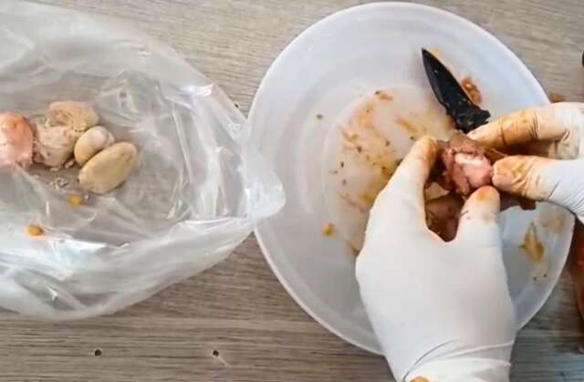 Av&oacute; tenta entrar em pres&iacute;dio com coca&iacute;na dentro de carne cozida