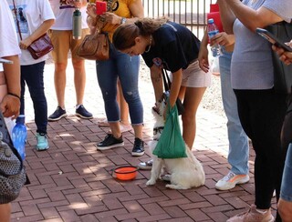Em ato, manifestantes pedem fim da impunidade por maus-tratos aos animais