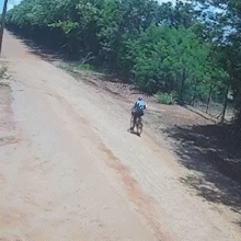 Idoso desaparece e mobiliza buscas em &aacute;rea de mata em S&atilde;o Gabriel do Oeste