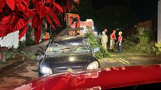 &Aacute;rvore cai sobre carro durante chuva no Jardim S&atilde;o Louren&ccedil;o