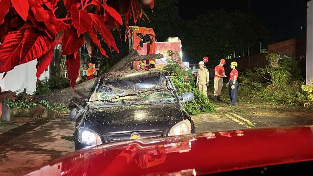 &Aacute;rvore cai sobre carro durante chuva no Jardim S&atilde;o Louren&ccedil;o