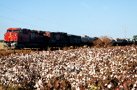 MIS reabre as portas com exposição sobre a memória da fotografia de MS