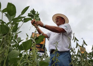 Com custos e desafio de trocar eucalipto por soja, fazenda tem dia de campo Com custos e desafio de trocar eucalipto por soja, fazenda tem dia de campo