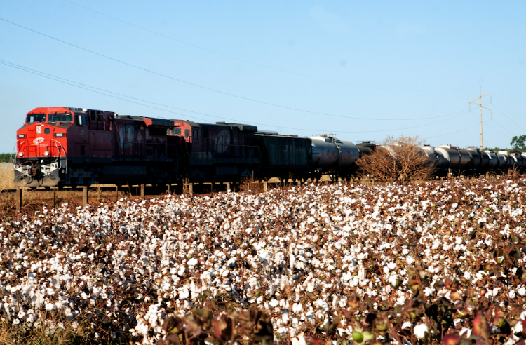 MIS reabre as portas com exposição sobre a memória da fotografia de MS