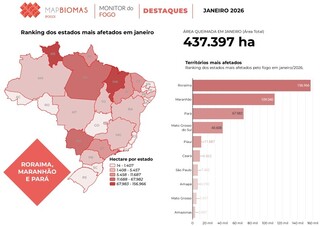 Mesmo com diminui&ccedil;&atilde;o nacional, Pantanal registra alta de 323% nas queimadas