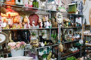 Criatividade de artes&atilde; mant&eacute;m loja com tudo dentro aberta h&aacute; 26 anos