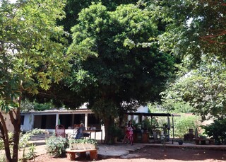 Calmo até demais, bairro tem fruta no pé e é o queridinho para provas do Detran Calmo até demais, bairro tem fruta no pé e é o queridinho para provas do Detran