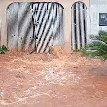 Enchente transforma resid&ecirc;ncias em rio em bairro e at&eacute; cachorro morre afogado