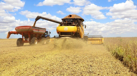Safra de soja em Mato Grosso do Sul atinge 27,7% da colheita