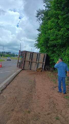 Carreta com porcos tomba na BR-163 na sa&iacute;da para S&atilde;o Paulo