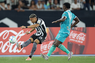 Botafogo reverte desvantagem e avan&ccedil;a na pr&eacute;-Libertadores; Bahia cai