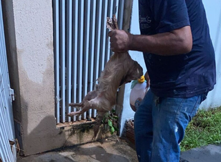 “Foi um desespero”: mãe relata pânico após enxurrada invadir casa “Foi um desespero”: mãe relata pânico após enxurrada invadir casa