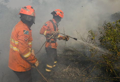 Parceria fortalece combate a inc&ecirc;ndios criminosos no Pantanal 