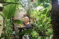 Varanda lotada de plantas vira até “ponto turístico” no bairro