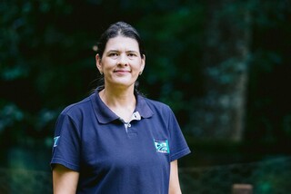 Animais silvestres avan&ccedil;am sobre a cidade e revelam disputa por territ&oacute;rio