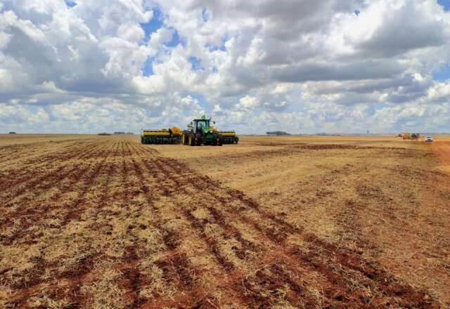 Chuvas irregulares e calor acima da m&eacute;dia colocam produtores de MS em alerta