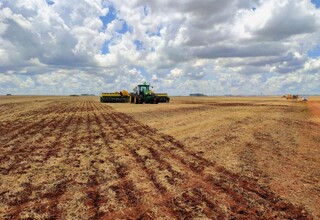 Chuvas irregulares e calor acima da média colocam produtores de MS em alerta Chuvas irregulares e calor acima da média colocam produtores de MS em alerta