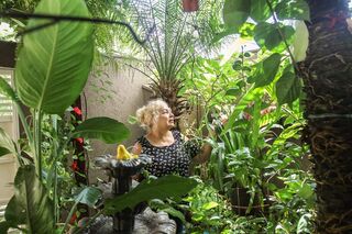 Varanda lotada de plantas vira até “ponto turístico” no bairro