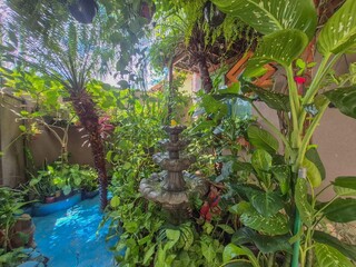 Varanda lotada de plantas vira at&eacute; &ldquo;ponto tur&iacute;stico&rdquo; no bairro