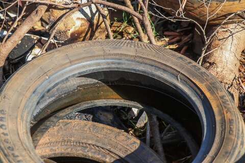 Ch&aacute;cara dos Poderes e mais 4 bairros lideram risco muito alto para dengue 