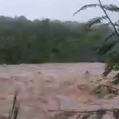 MS reconhece emerg&ecirc;ncia em Coxim e Rio Negro ap&oacute;s estragos deixados pelas chuvas