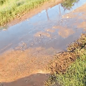 Morador denuncia vazamento de esgoto h&aacute; 4 dias no Jardim Centro Oeste