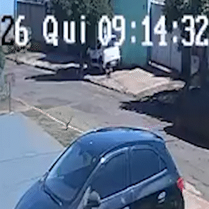 Com 10 anos, "Ane" morre atropelada e tutores buscam condutor que fugiu