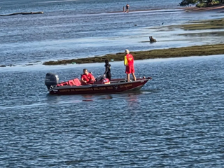Bombeiros buscam jovem que desapareceu na região da Cascalheira Bombeiros buscam jovem que desapareceu na região da Cascalheira