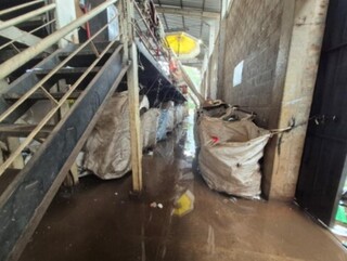 Coleta seletiva na Capital atinge 49% de ades&atilde;o, mas tem problemas estruturais