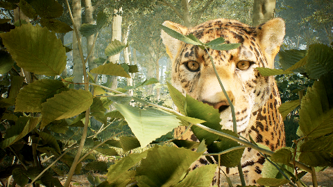 On&ccedil;a-pintada vira protagonista em jogo que se passa no Pantanal