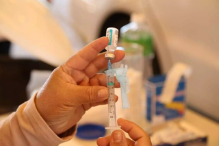 Enquete: 95% dos leitores nunca tomaram vacina contra a dengue