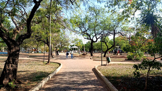 Corumb&aacute; rediscute arboriza&ccedil;&atilde;o urbana como resili&ecirc;ncia clim&aacute;tica e mais verde