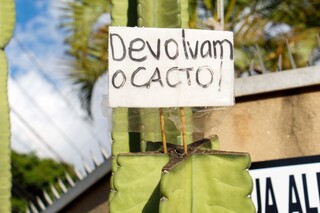 Dono de "cacto" furtado deixa recado para ladr&atilde;o: "eu filmei"