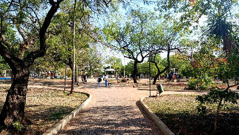 Corumb&aacute; rediscute arboriza&ccedil;&atilde;o urbana como resili&ecirc;ncia clim&aacute;tica e mais verde