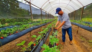 Nova regra permite mudar valor que estados e municípios bancam em convênios Nova regra permite mudar valor que estados e municípios bancam em convênios