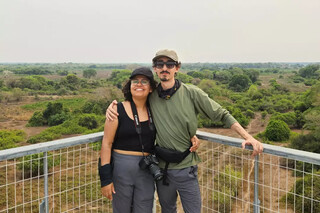 On&ccedil;a-pintada vira protagonista em jogo que se passa no Pantanal