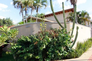 Dono de "cacto" furtado deixa recado para ladr&atilde;o: "eu filmei"