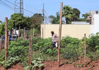 &Aacute;rea que j&aacute; foi de "vaca e braqui&aacute;ria" cresceu e virou bairro de alto padr&atilde;o