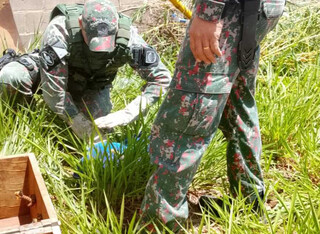 Servidora encontra arara machucada e fica 3h30 de "plant&atilde;o" at&eacute; resgate