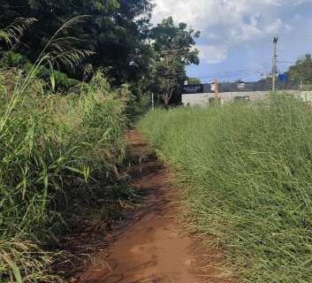 Pista no Lageado &eacute; tomada por matagal e lama, reclama dona de casa
