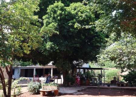 Calmo at&eacute; demais, bairro tem fruta no p&eacute; e &eacute; o queridinho para provas do Detran