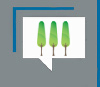 Deu broca! Uma pequena história das grandes árvores da Afonso Pena Deu broca! Uma pequena história das grandes árvores da Afonso Pena