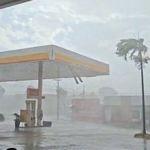 Temporal derruba &aacute;rvores e destelha casas na tarde deste s&aacute;bado