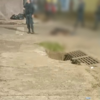 Homem de 36 anos é executado a tiros na Vila Nhanhá